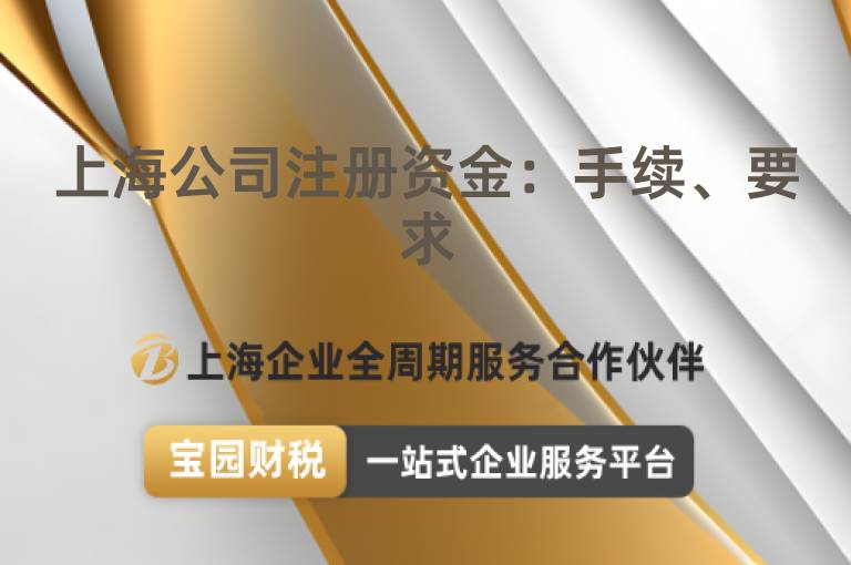 上海公司注冊資金：手續、要求