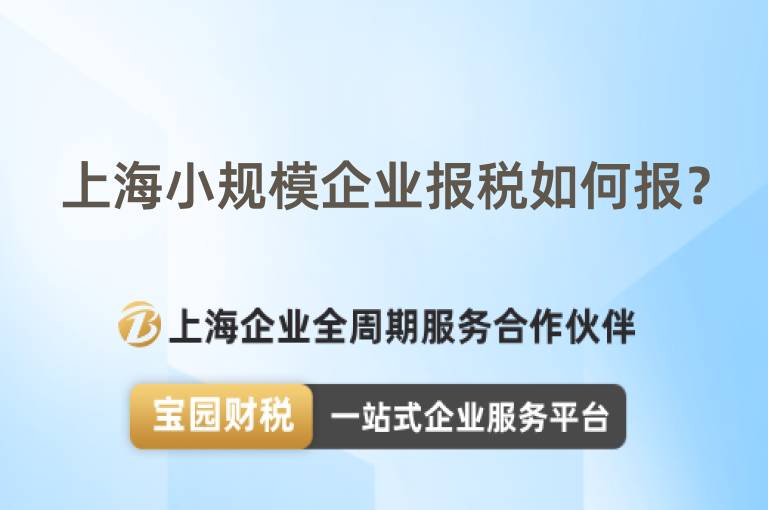 上海小規模企業報稅如何報？