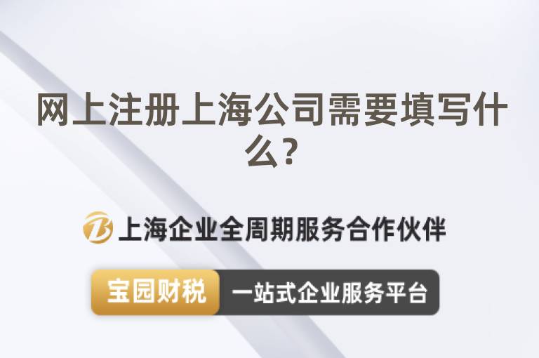 網(wǎng)上注冊上海公司需要填寫什么？
