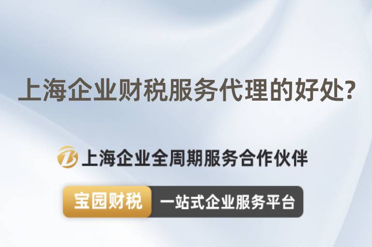 上海企業(yè)財(cái)稅服務(wù)代理的好處?