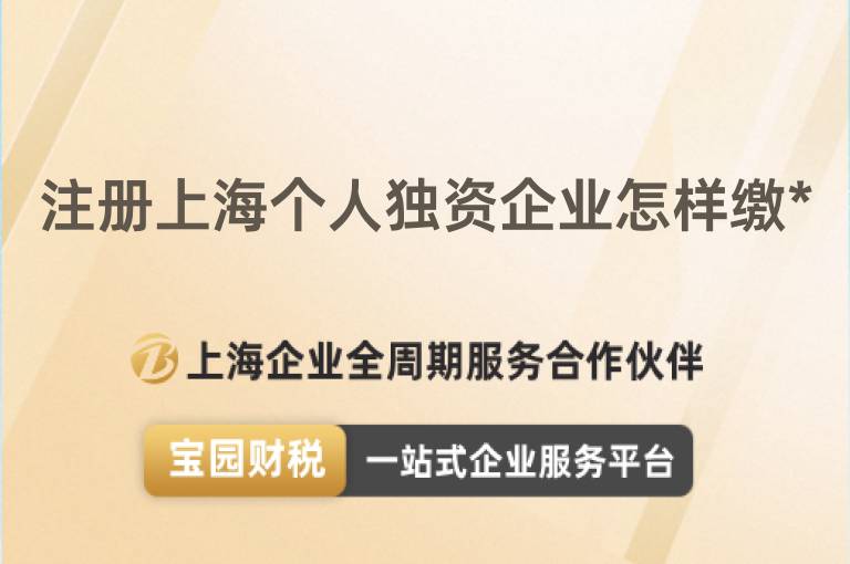 注冊上海個人獨資企業怎樣繳*