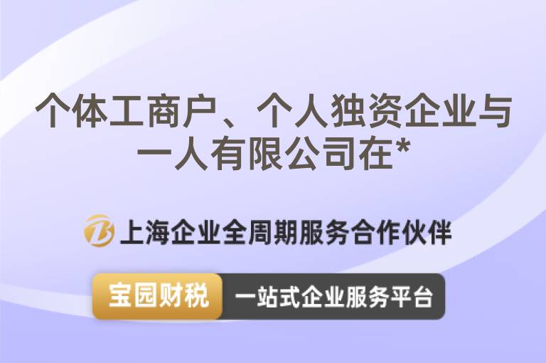 個(gè)體工商戶、個(gè)人獨(dú)資企業(yè)與一人有限公司在*