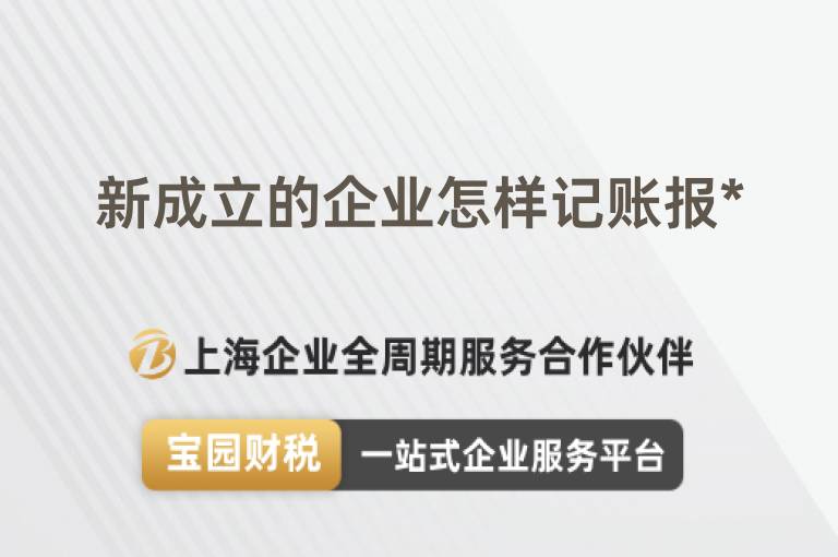 新成立的企業(yè)怎樣記賬報(bào)*