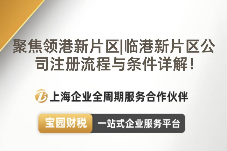 聚焦領(lǐng)港新片區(qū)|臨港新片區(qū)公司注冊流程與條件詳解！