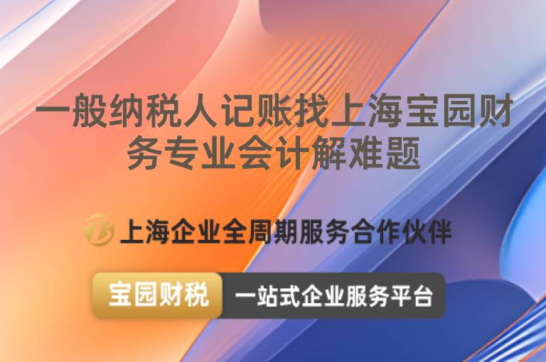 一般納稅人記賬找上海寶園財務專業會計解難題