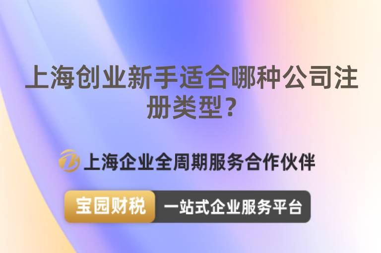 上海創業新手適合哪種公司注冊類型？